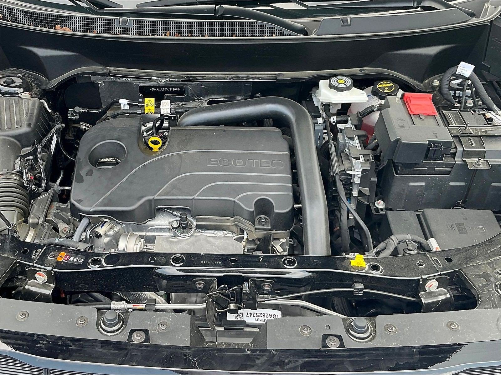 2025 GMC Terrain Elevation
